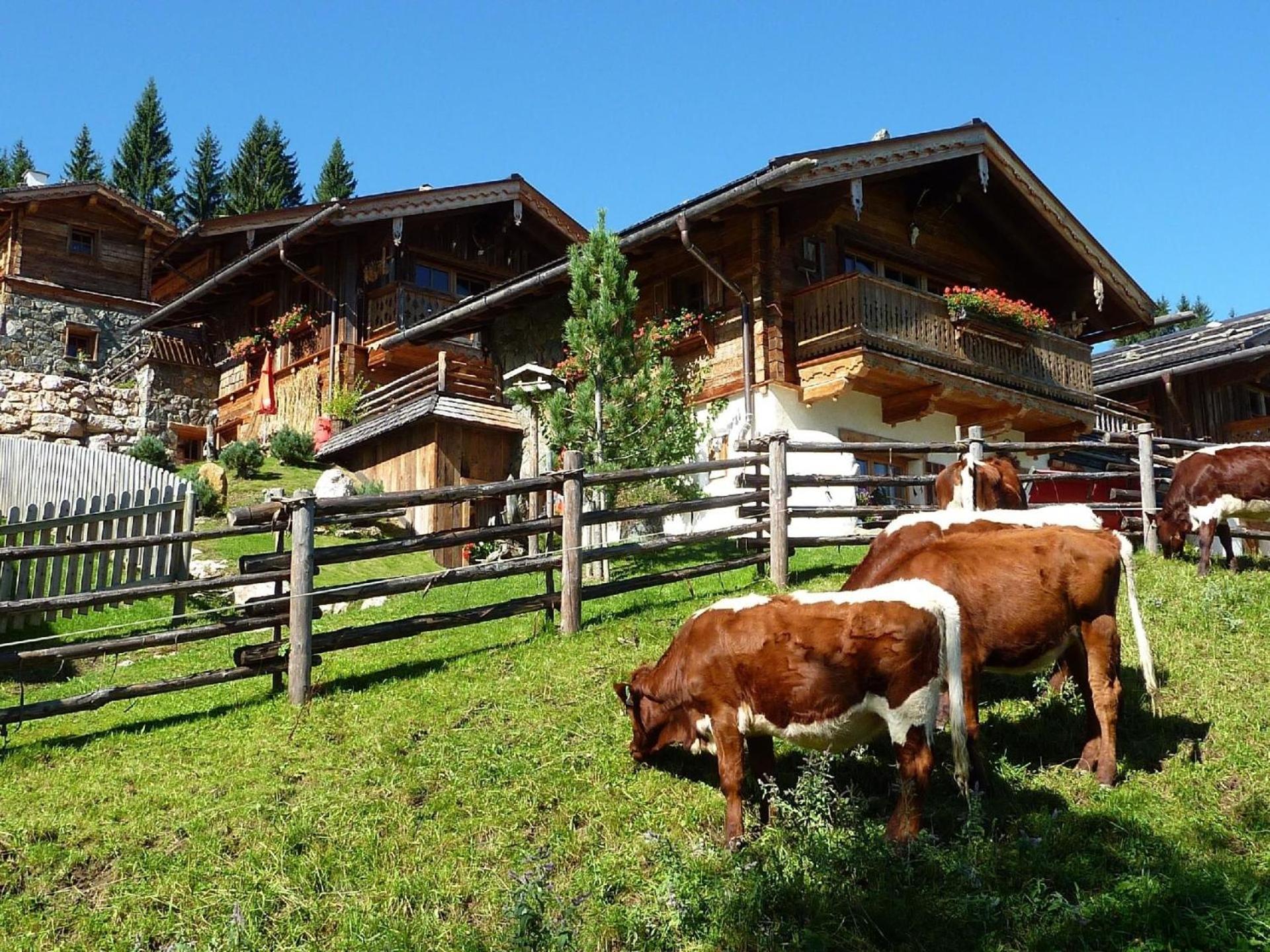 Villa Ferienhaus Im Almdorf In Flachau Exterior foto